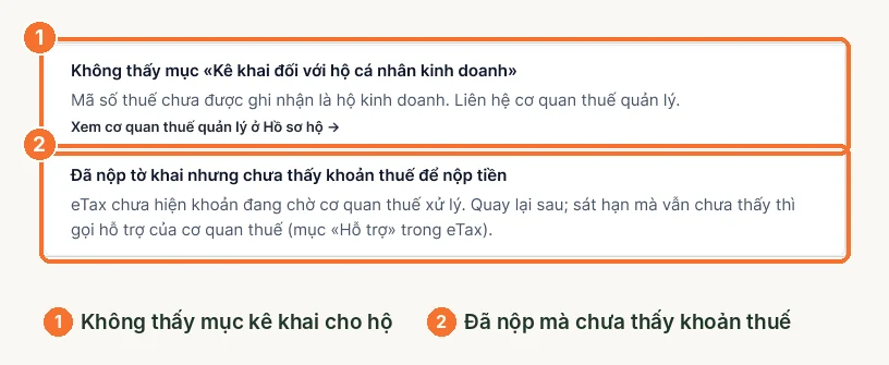 Nội dung xử lý không thấy mục kê khai cho hộ và chưa thấy khoản thuế